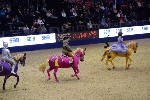 Quadrille - 00467